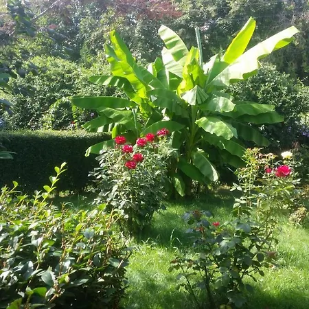 Gasthof Vila Sonia Năvodari