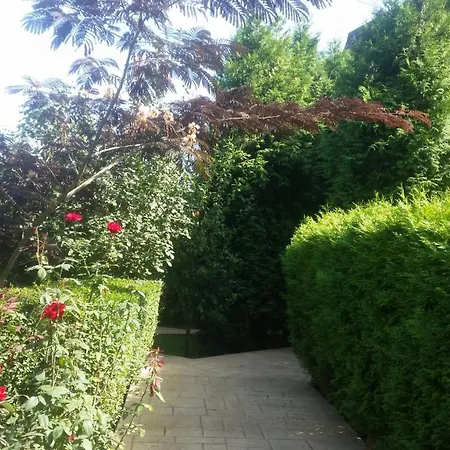 Gasthof Vila Sonia Năvodari