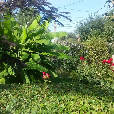 Vila Sonia Năvodari