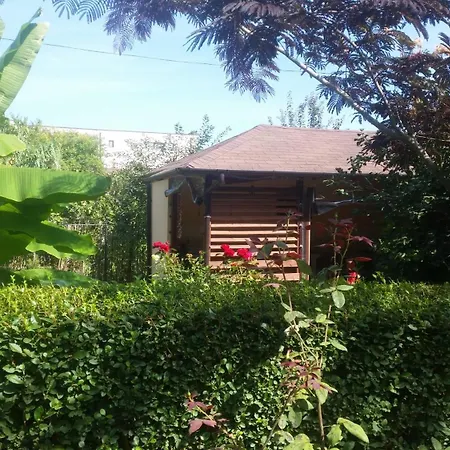 Vila Sonia Năvodari